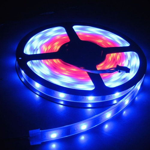 灯带一�c�_�����钱 2026最新报价及(qi��ng)高性�h(hu��n)比厂家推�? width=