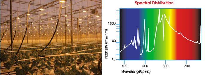 一體化內(nèi)反射型植物生長燈案例實(shí)拍和光譜圖